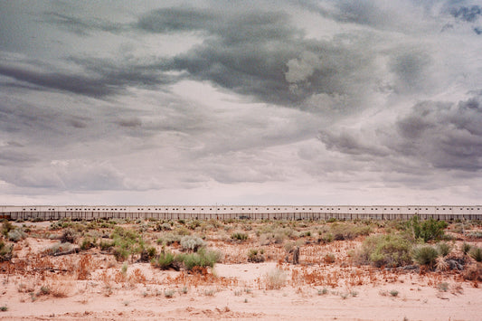 Southwest (Foxes)