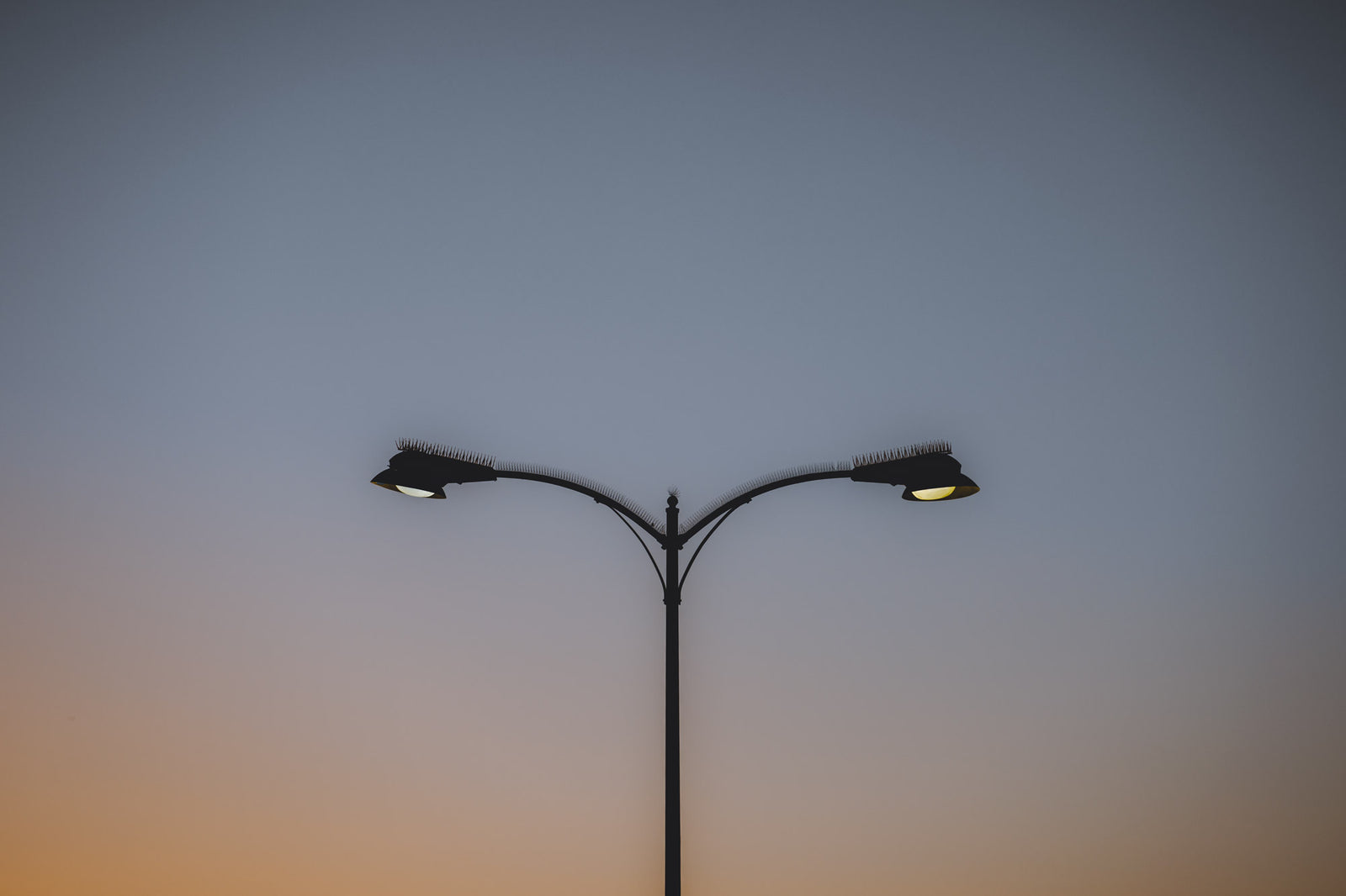 Tone Poem (1)