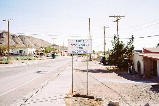 Southwest (Adoption)
