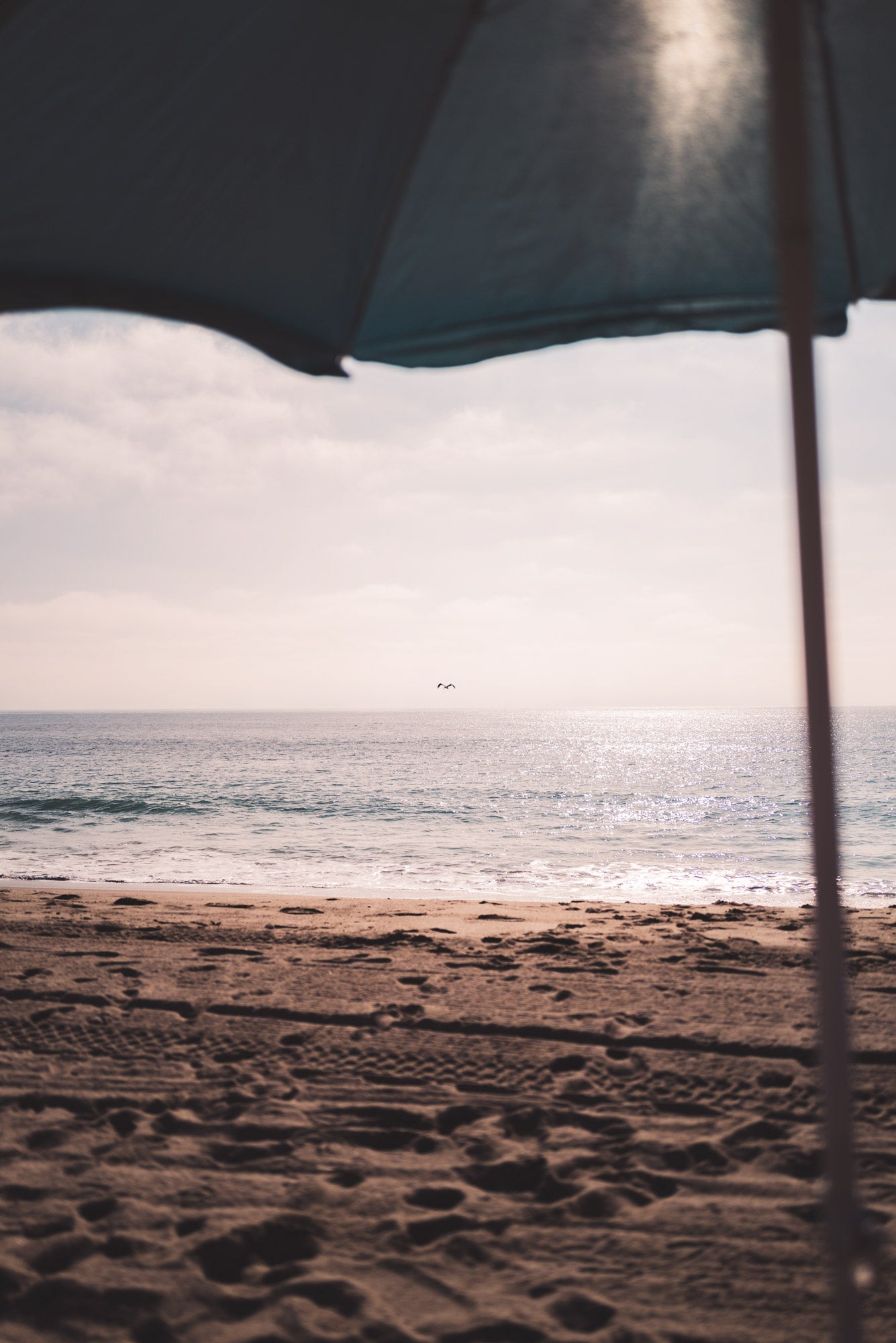 Isolation Diary (Blue Monday)