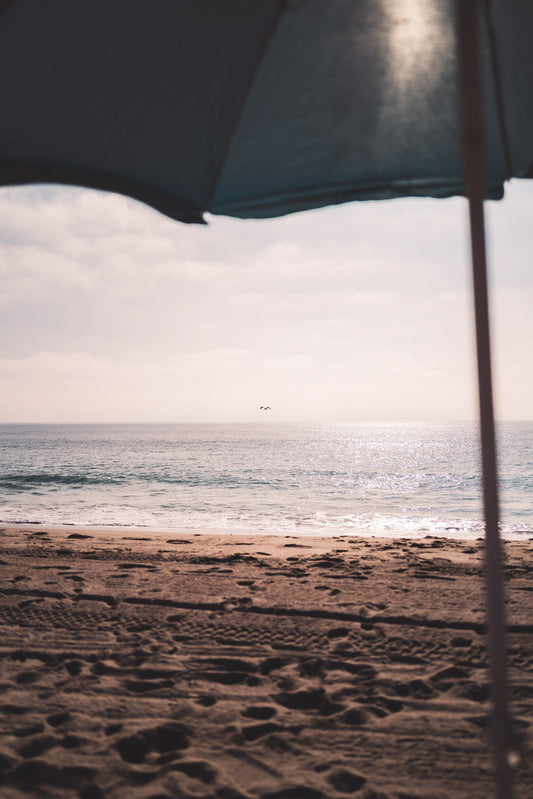 Isolation Diary (Blue Monday)