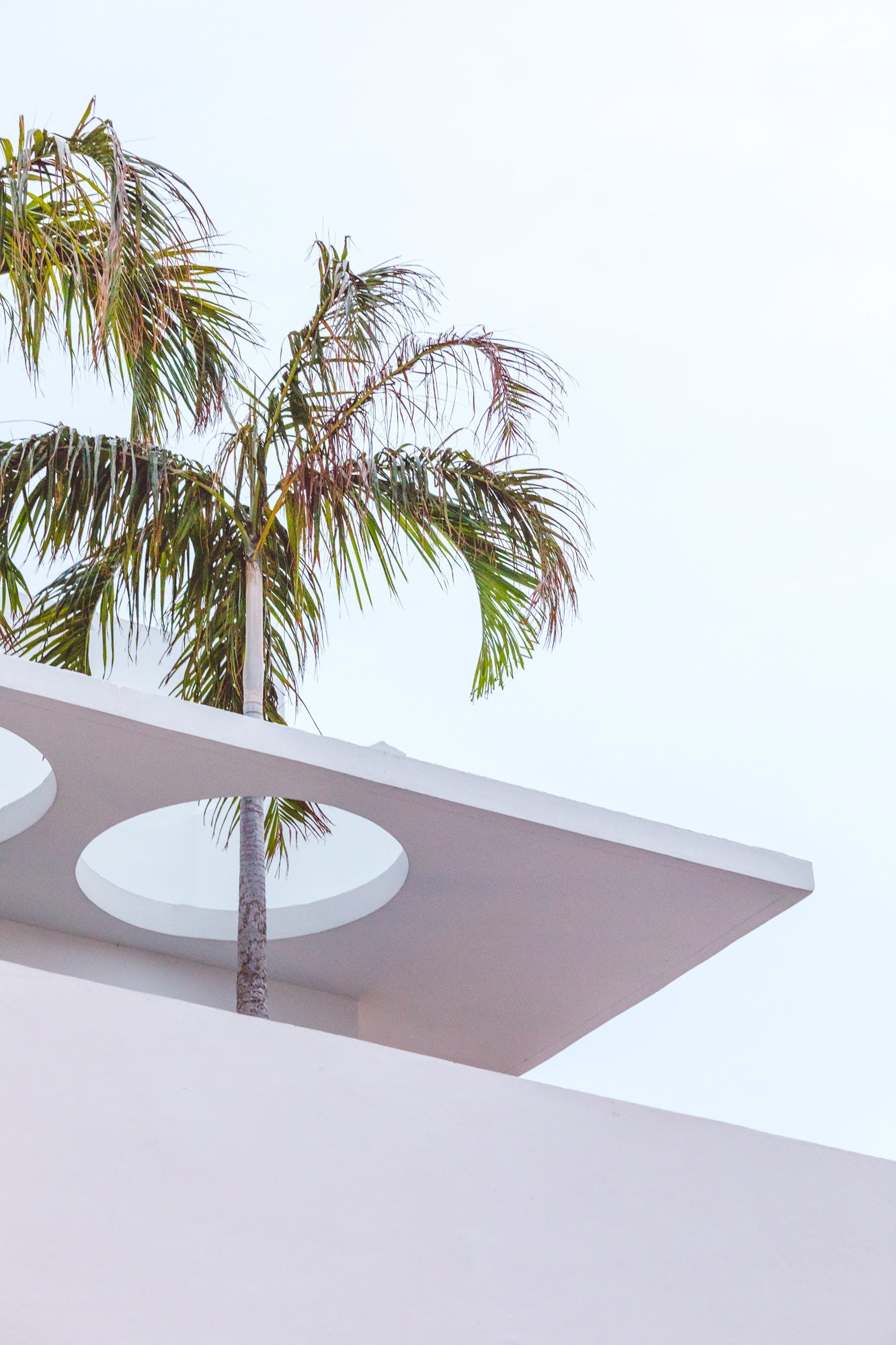 Grove House, Miami (3)