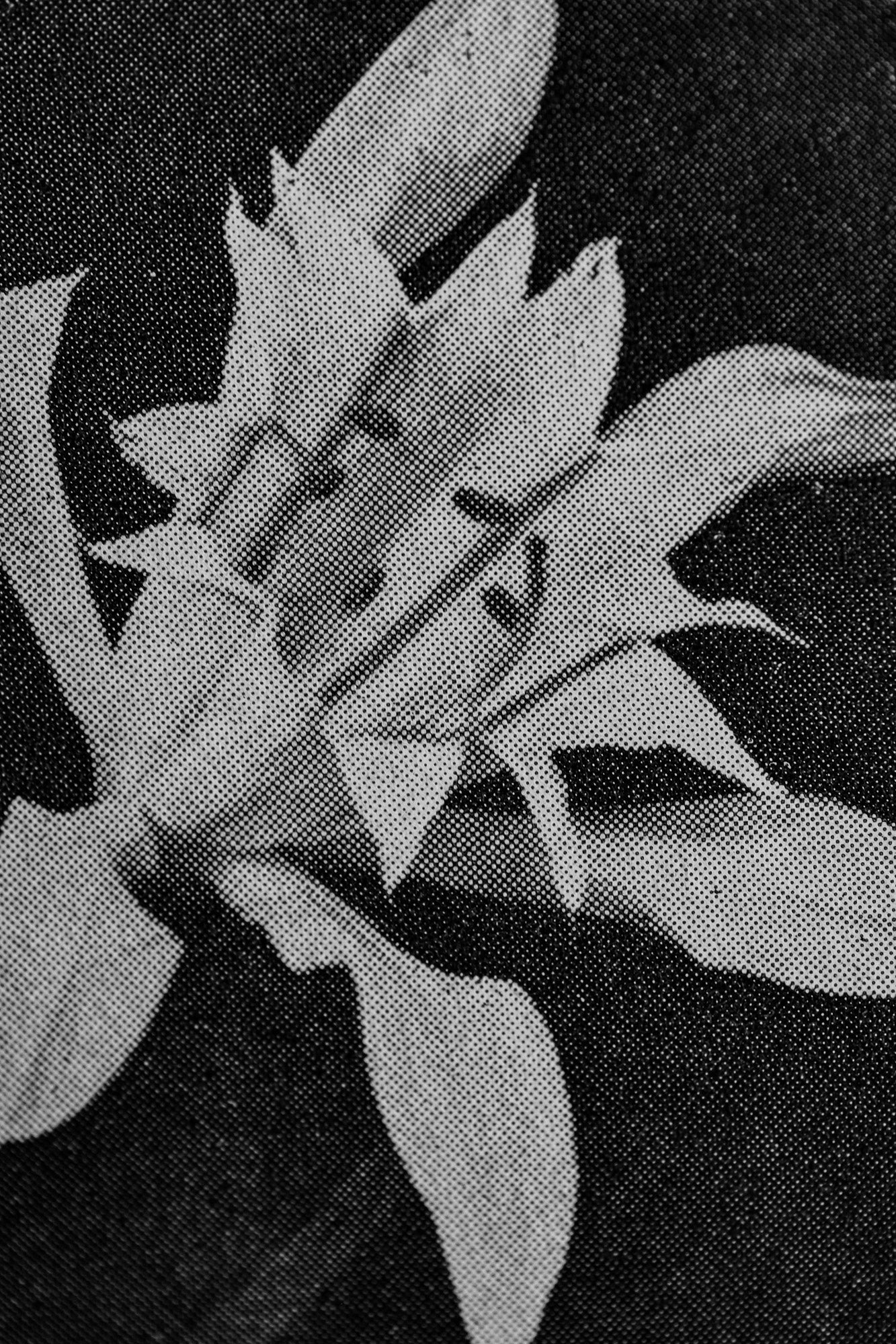 Osmium (2)
