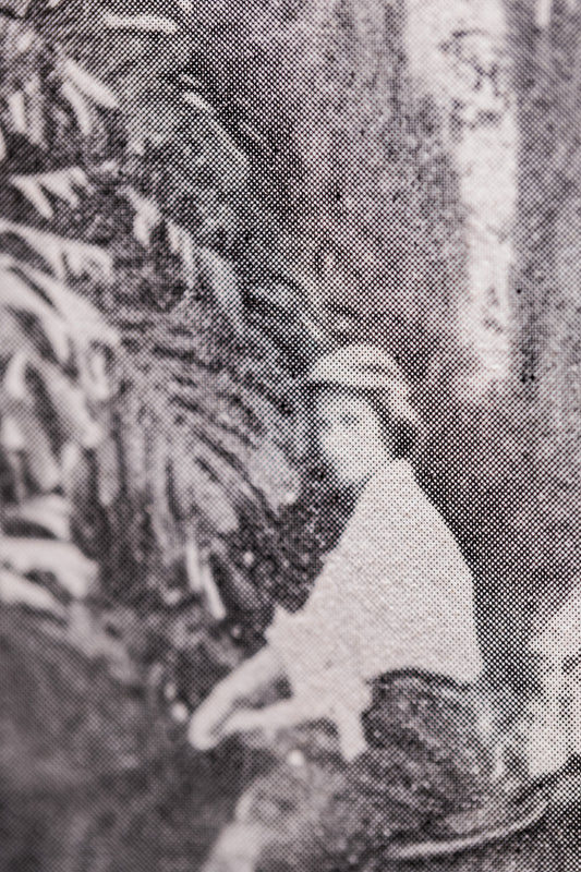 Suite Exotica Nova (3)