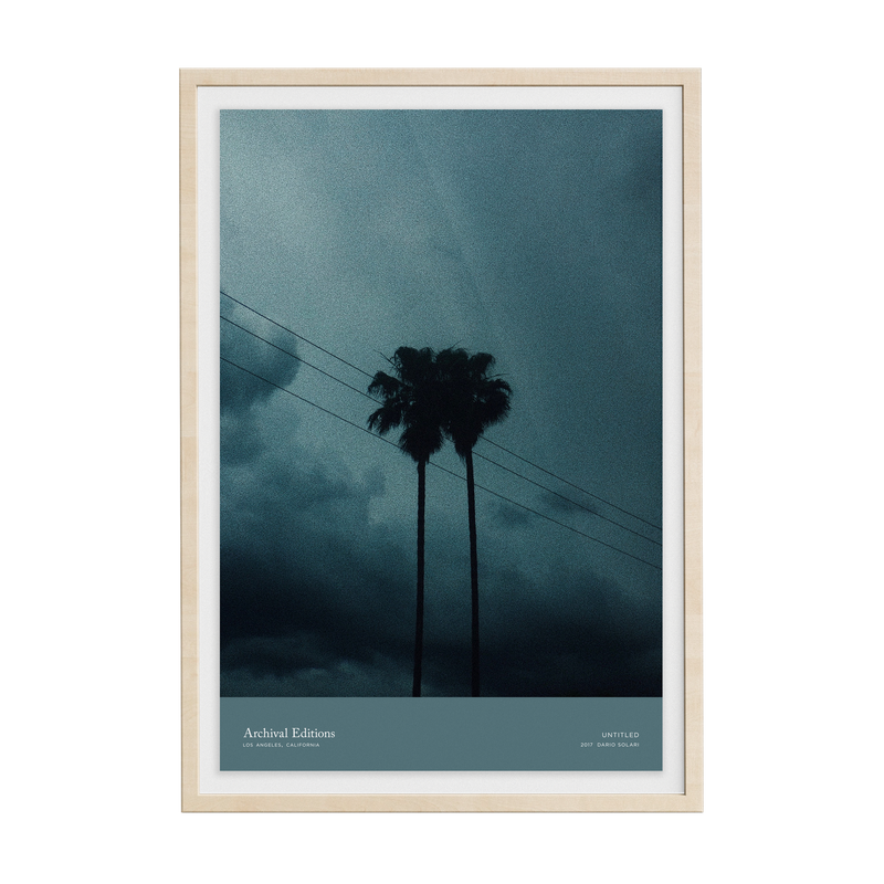 Untitled (Palm Trees) by Dario Solari