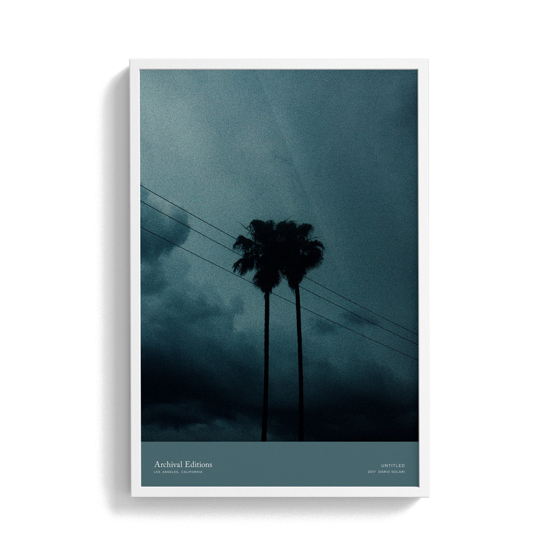 Untitled (Palm Trees) by Dario Solari