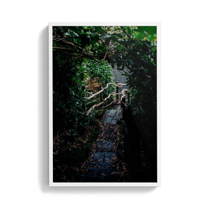 Coniston: Ruskin Steps photographic print