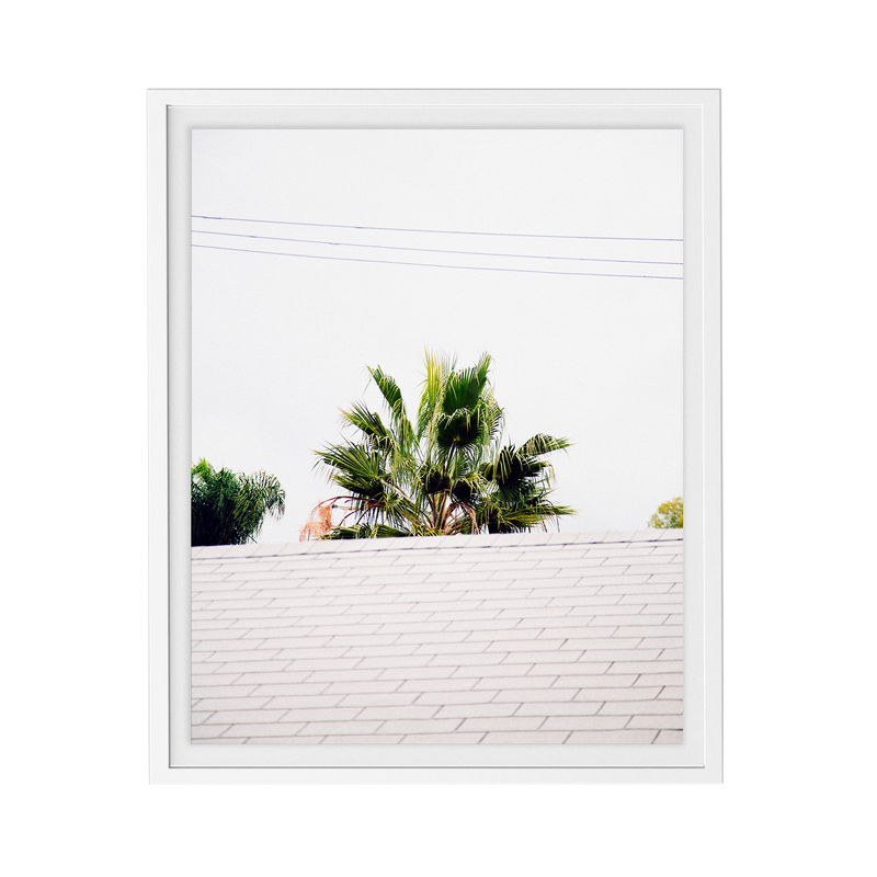 Palm Roof photographic print